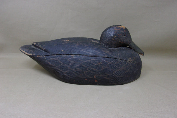 Snugglehead Blackduck, Solid Body, Michigan  (#3674)