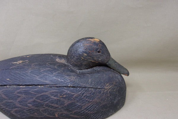 Snugglehead Blackduck, Solid Body, Michigan  (#3674)