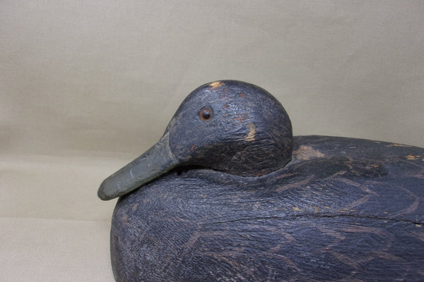 Snugglehead Blackduck, Solid Body, Michigan  (#3674)