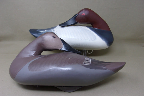 Capt. Harry Jobes Canvasback Sleeper Pair  (#3688)