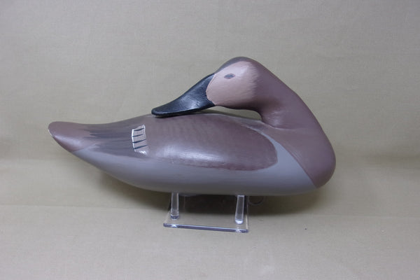 Capt. Harry Jobes Canvasback Sleeper Pair  (#3688)