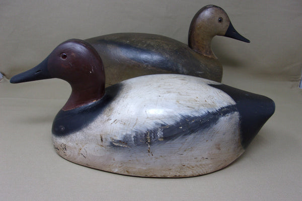 Roy Fahrner Pair of Canvasbacks, Canada, all original  (#3704)