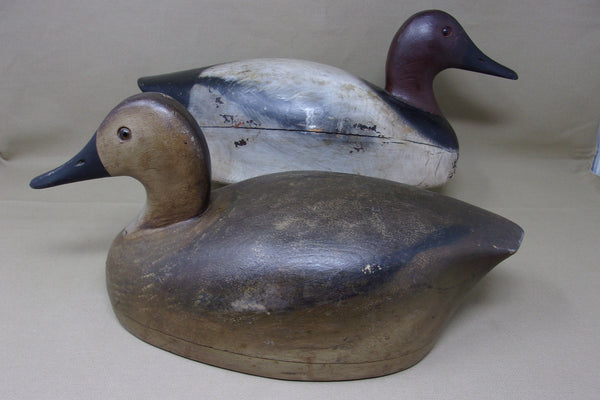 Roy Fahrner Pair of Canvasbacks, Canada, all original  (#3704)