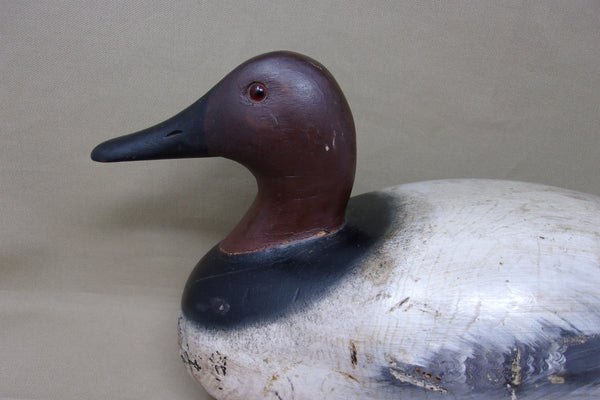 Roy Fahrner Pair of Canvasbacks, Canada, all original  (#3704)