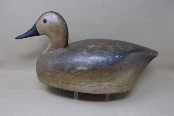 Roy Fahrner Pair of Canvasbacks, Canada, all original  (#3704)