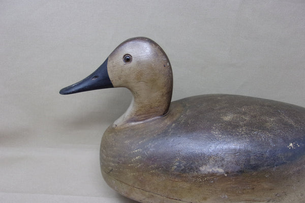 Roy Fahrner Pair of Canvasbacks, Canada, all original  (#3704)