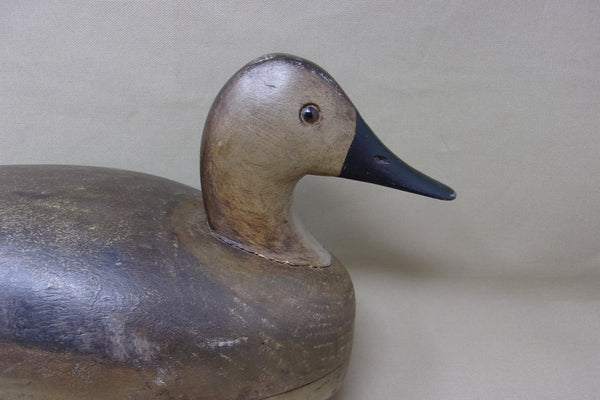 Roy Fahrner Pair of Canvasbacks, Canada, all original  (#3704)