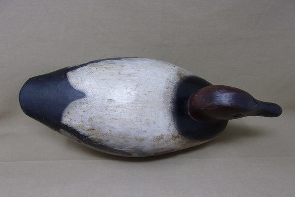 Roy Fahrner Pair of Canvasbacks, Canada, all original  (#3704)