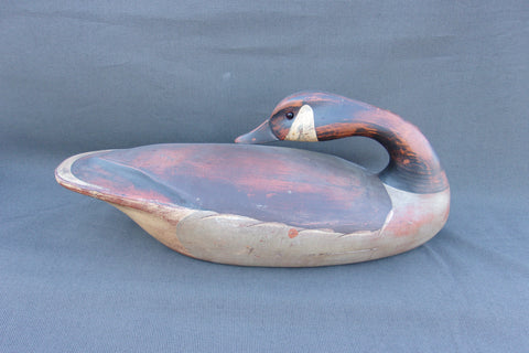 T. J. Hooker Preening Canada Goose (#3709)