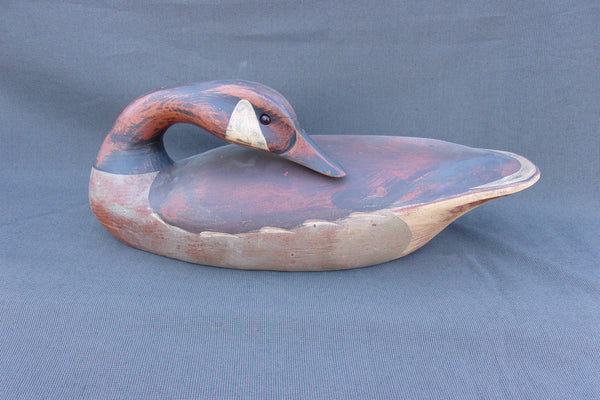 T. J. Hooker Preening Canada Goose (#3709)