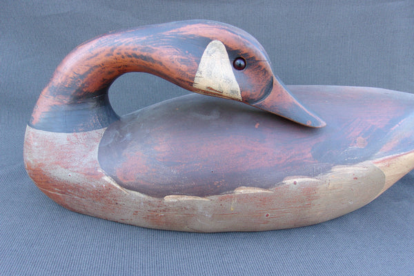 T. J. Hooker Preening Canada Goose (#3709)