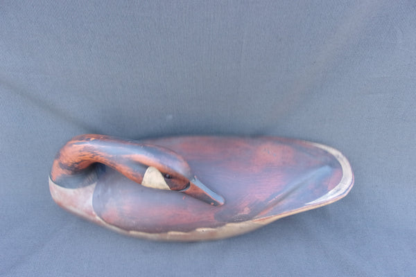 T. J. Hooker Preening Canada Goose (#3709)