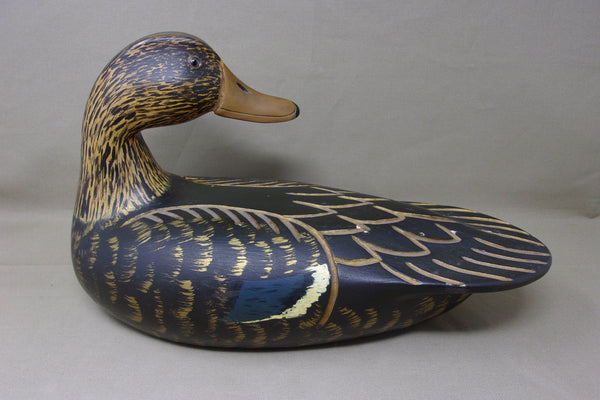 Achepohl Oversized Turned Head Blackduck  (#3720)