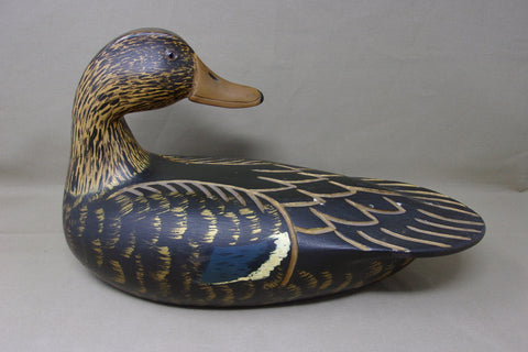 Achepohl Oversized Turned Head Blackduck  (#3720)