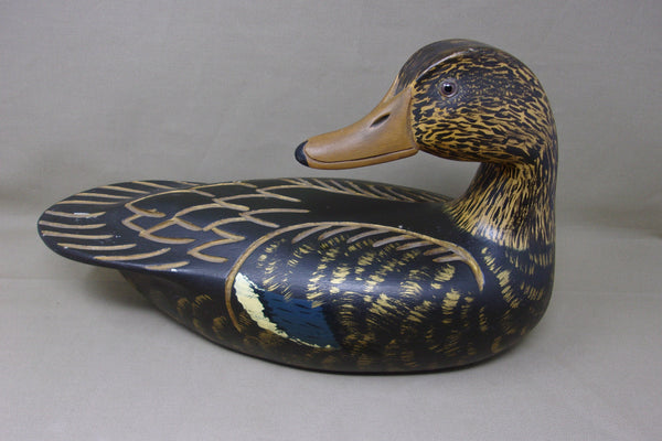Achepohl Oversized Turned Head Blackduck  (#3720)