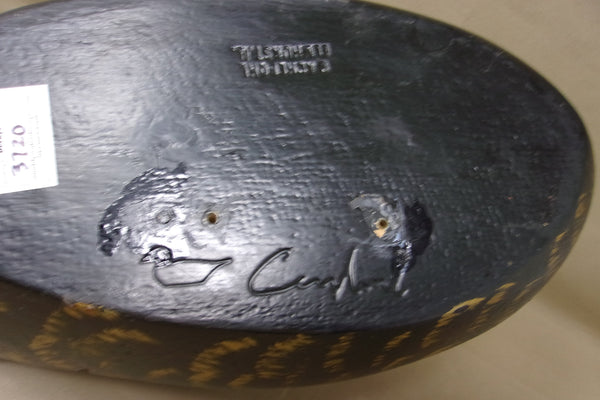 Achepohl Oversized Turned Head Blackduck  (#3720)