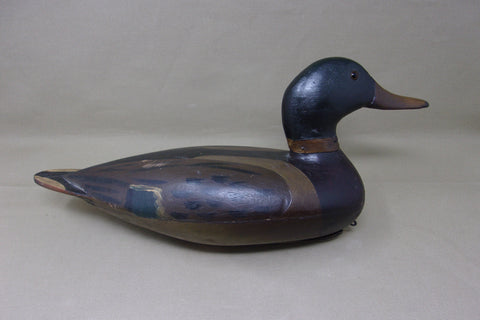 Mallard Drake, attributed to William Shaw, Circa 1920's  (#3723)