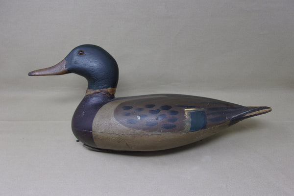 Mallard Drake, attributed to William Shaw, Circa 1920's  (#3723)