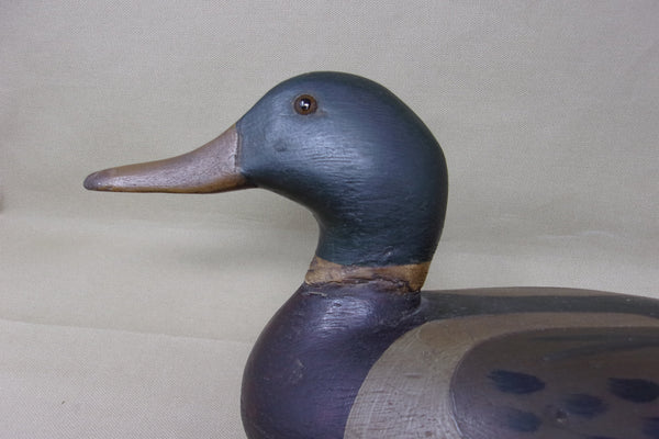 Mallard Drake, attributed to William Shaw, Circa 1920's  (#3723)