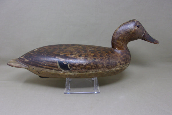 Robert Elliston Mallard Hen, All Original with Weight, Circa 1890's  (#3751)