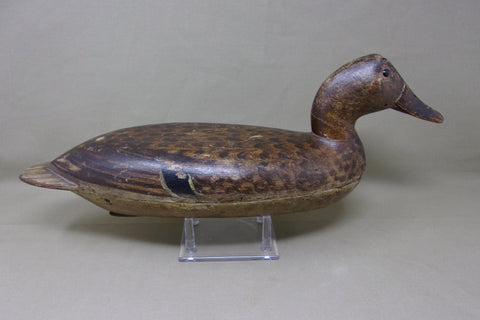 Robert Elliston Mallard Hen, All Original with Weight, Circa 1890's  (#3751)