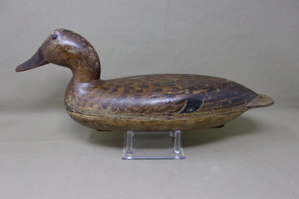 Robert Elliston Mallard Hen, All Original with Weight, Circa 1890's  (#3751)