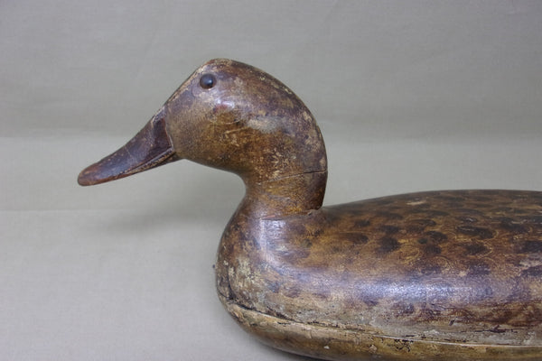 Robert Elliston Mallard Hen, All Original with Weight, Circa 1890's  (#3751)