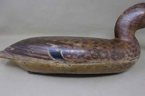 Robert Elliston Mallard Hen, All Original with Weight, Circa 1890's  (#3751)