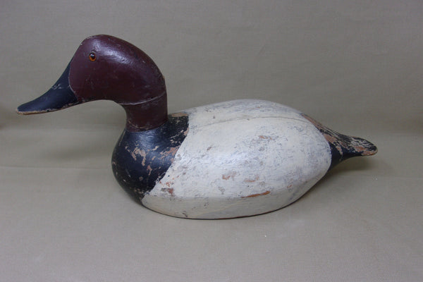 Ollie Drahn Canvasback, Circa 1930's  (#3765)