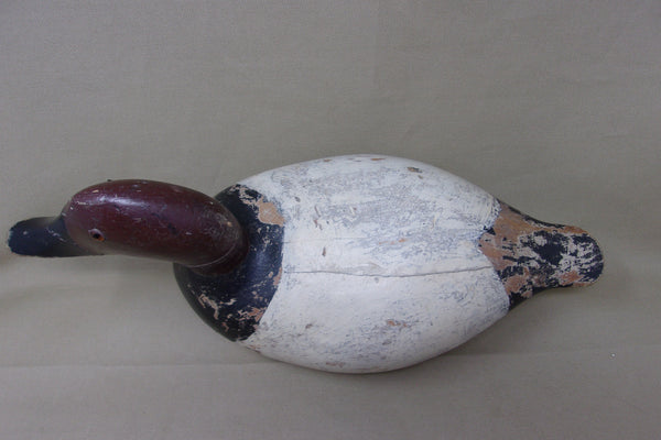 Ollie Drahn Canvasback, Circa 1930's  (#3765)