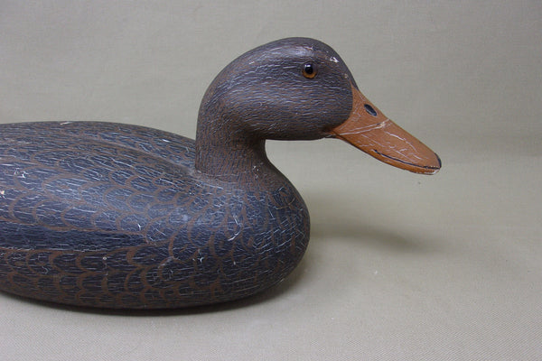 Heck Whittington Working Mallard Hen, Circa 1930's, Original (#3796)
