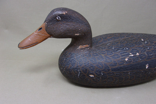 Heck Whittington Working Mallard Hen, Circa 1930's, Original (#3796)
