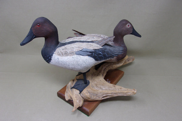 Bud Hinck Canvasback Pair on Driftwood and Base (#3804)