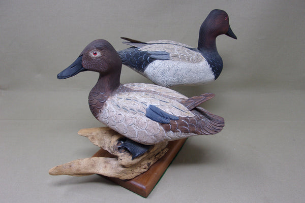 Bud Hinck Canvasback Pair on Driftwood and Base (#3804)