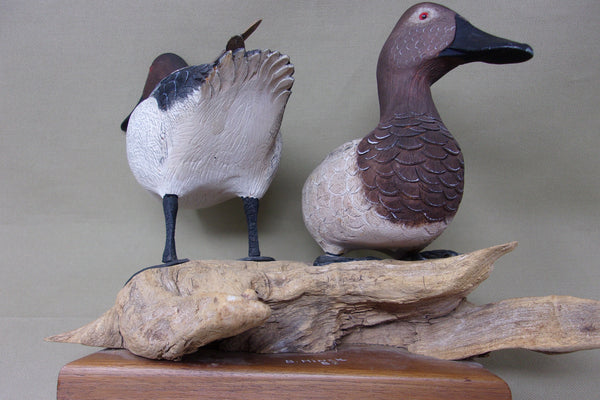 Bud Hinck Canvasback Pair on Driftwood and Base (#3804)