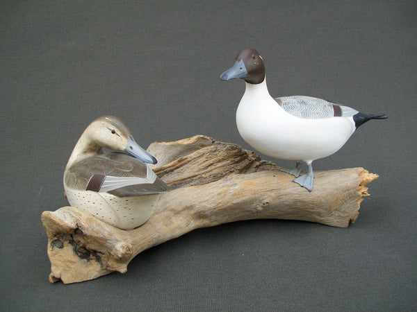 Ken Weeks Pintails Pair mounted on driftwood