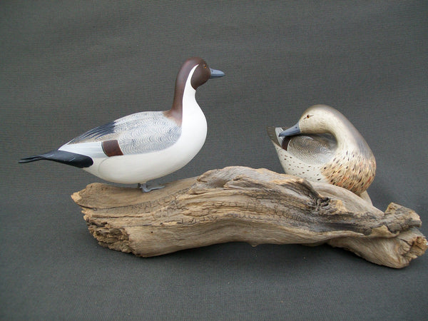 Ken Weeks Pintails Pair mounted on driftwood