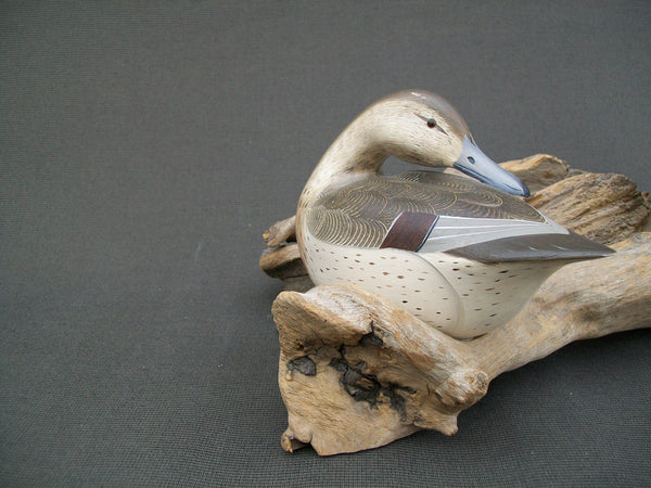 Ken Weeks Pintails Pair mounted on driftwood
