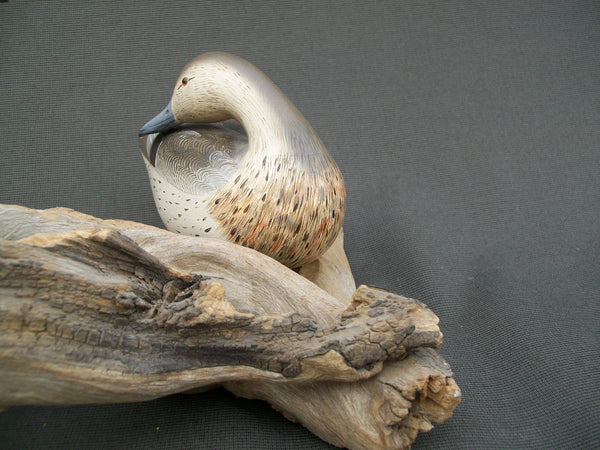 Ken Weeks Pintails Pair mounted on driftwood