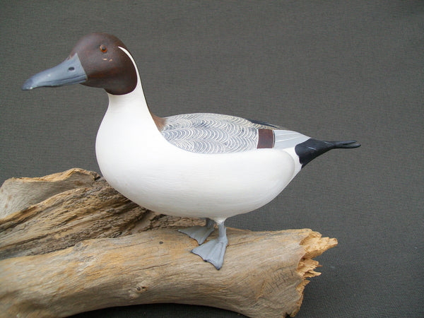 Ken Weeks Pintails Pair mounted on driftwood
