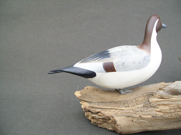 Ken Weeks Pintails Pair mounted on driftwood