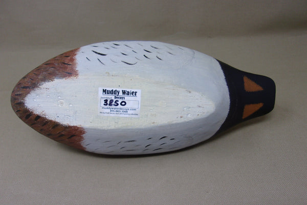 Wilcoxen Green Wing Teal, Painted by Robert Weeks  (#3850)