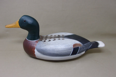 Illinois River Mallard painted by Robert Weeks  (#3851)