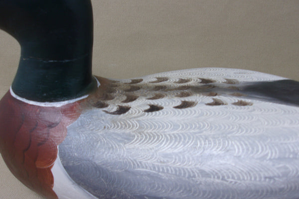 Illinois River Mallard painted by Robert Weeks  (#3851)