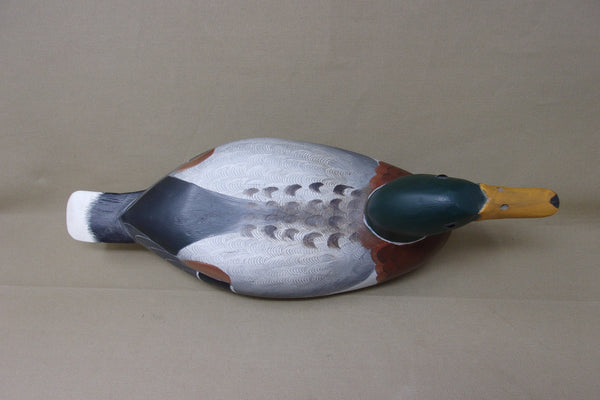 Illinois River Mallard painted by Robert Weeks  (#3851)