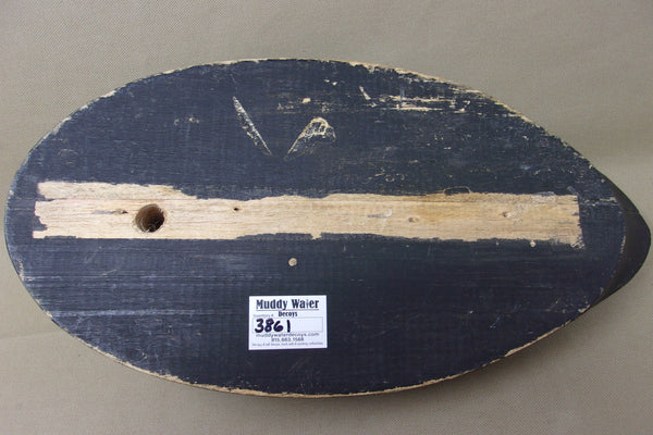 Rare Wildfowler Scoter, Old Saybrook, (#3861)