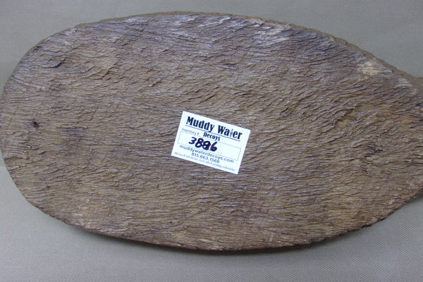 Rigmate Pair, Padco Pintails, All Original  (#3886)