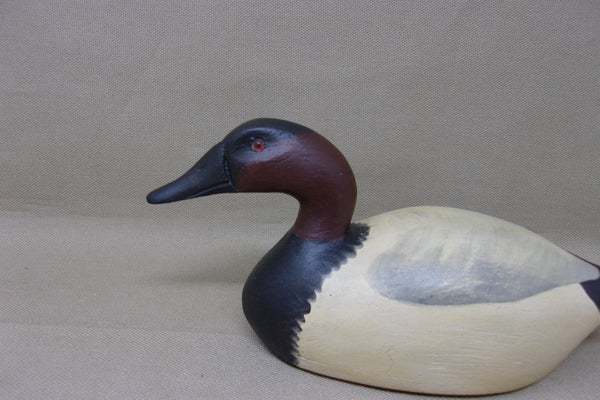 Rare Mike Borrett Mini Canvasback Drake (#3891)