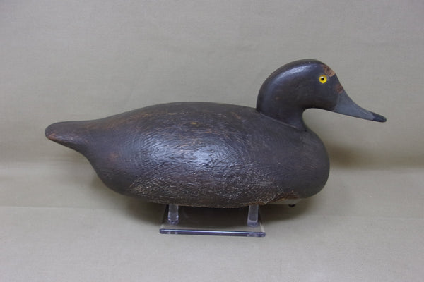 Canadian Diver Hen, Circa 1920's (#3892)