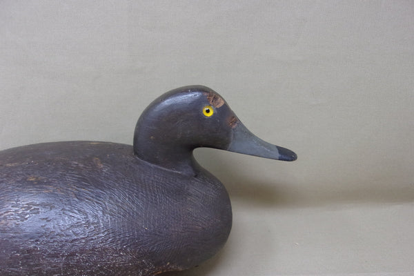 Canadian Diver Hen, Circa 1920's (#3892)